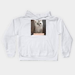 Saba cute cats Kids Hoodie